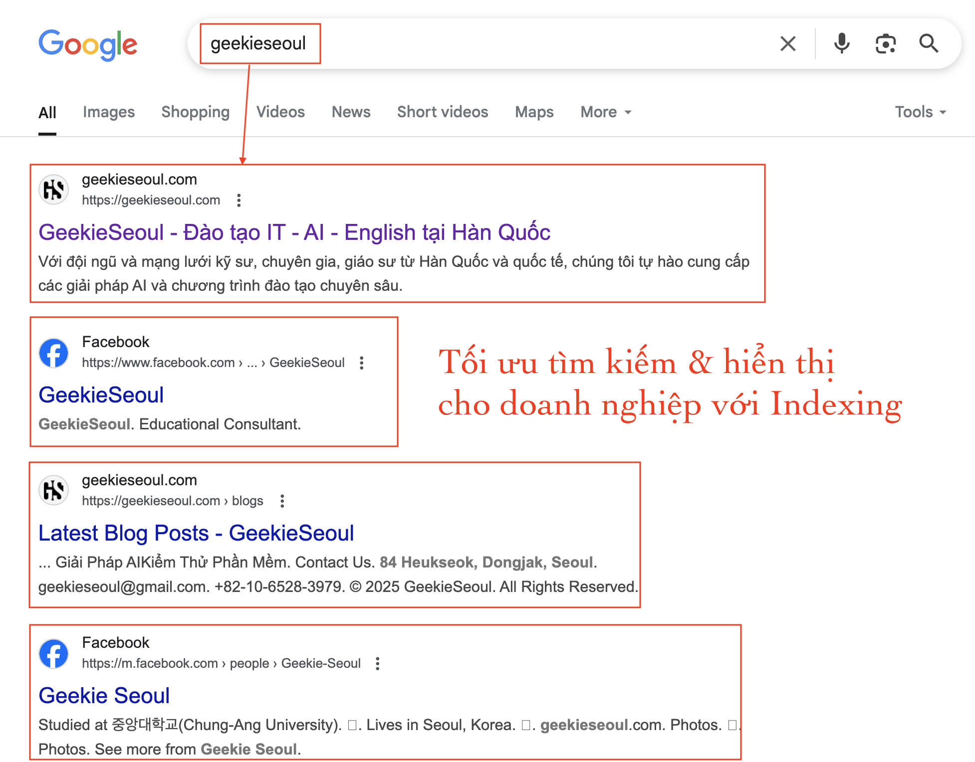 SEO Google